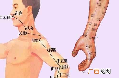 手阳明大肠经分布穴位功效 手阳明大肠经循行图,手阳明大肠经的作用