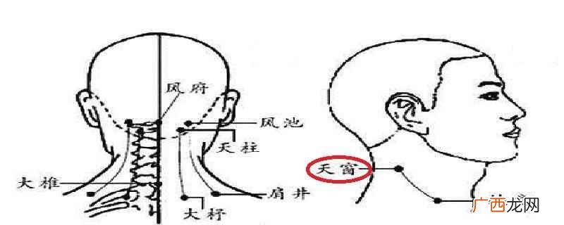 天窗穴准确位置 天窗的准确位置图