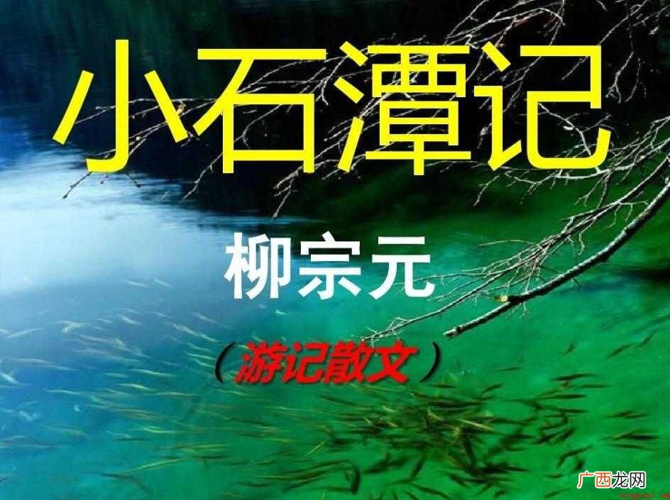 小石潭记原文及翻译是什么 《小石潭记》原文及翻译是什么