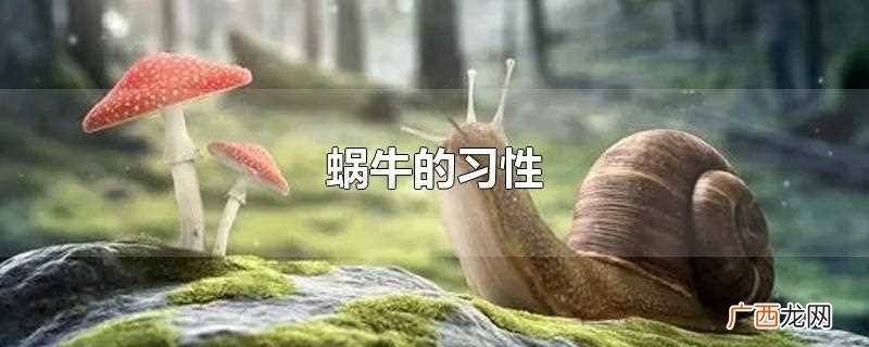 蜗牛的习性与特点 蜗牛的习性