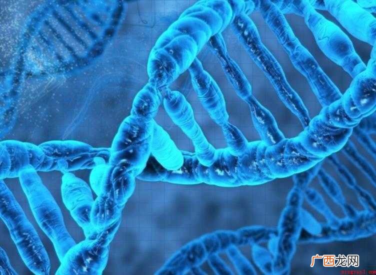 遗传学成立基础是什么