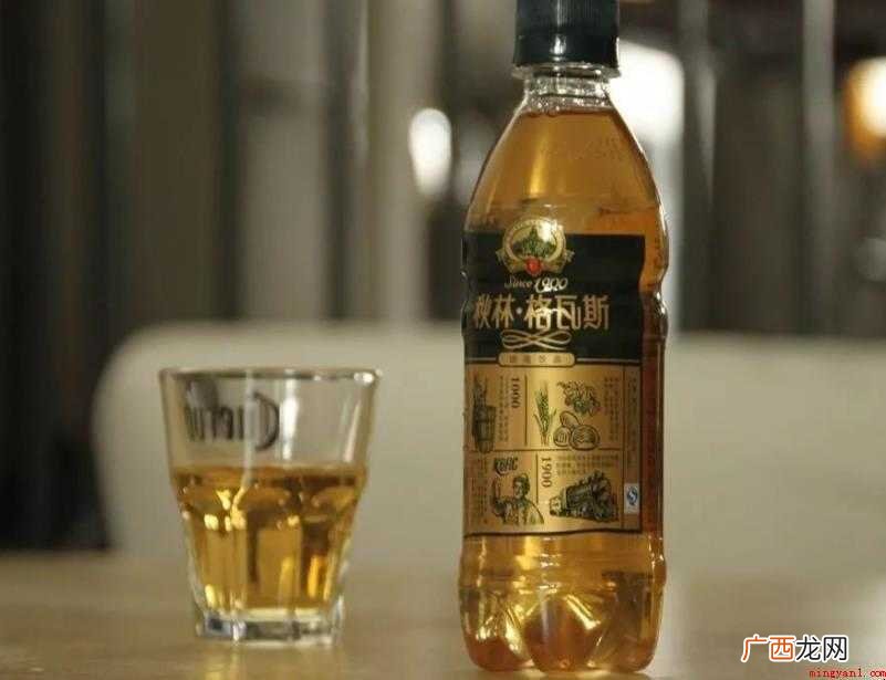 格瓦斯历史起源是什么