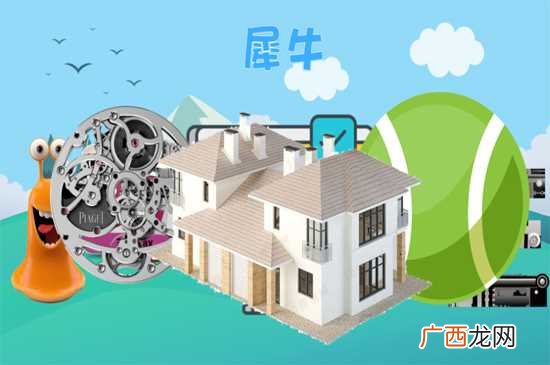 犀牛是什么类型的软件 犀牛是什么软件
