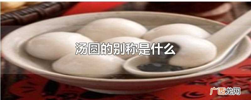 汤圆的别称是什么意思 汤圆的别称是什么