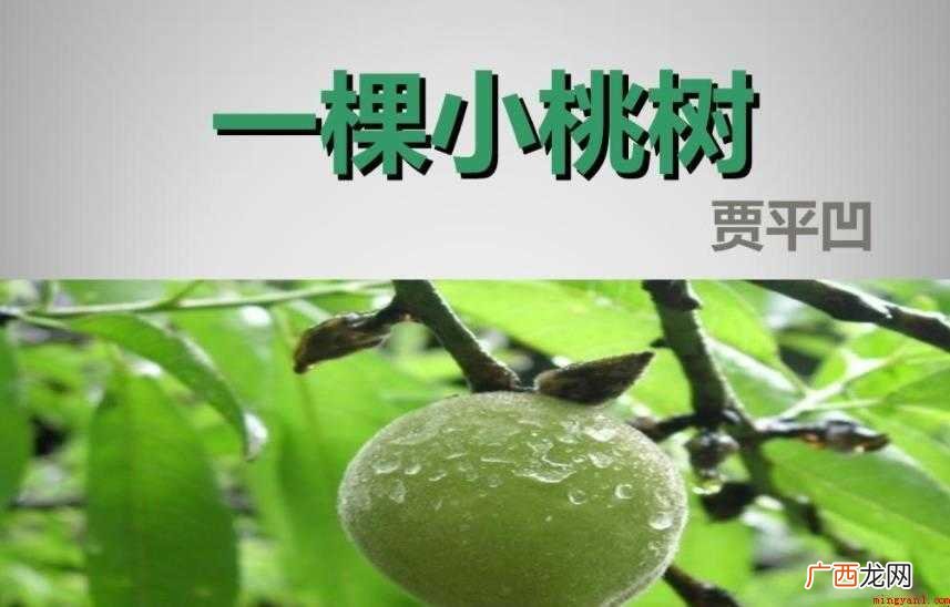 《一棵小桃树》有什么写作特色