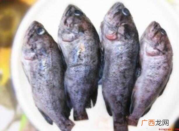 黑鱼汤怎么做
