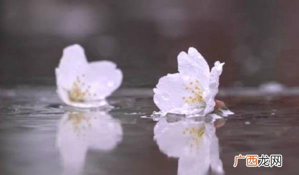 气象因素、大气污染、人类活动这三大因素造成明时节下雨 ?清明时节雨纷纷三大原因是什么