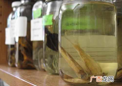 长期接触福尔马林可能会导致癌症 福尔马林是什么,福尔马林是什么东西