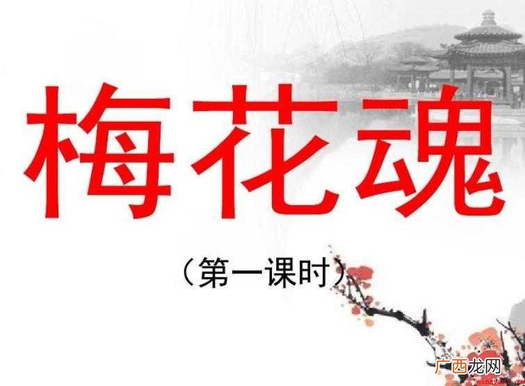 《梅花魂》主要内容有什么