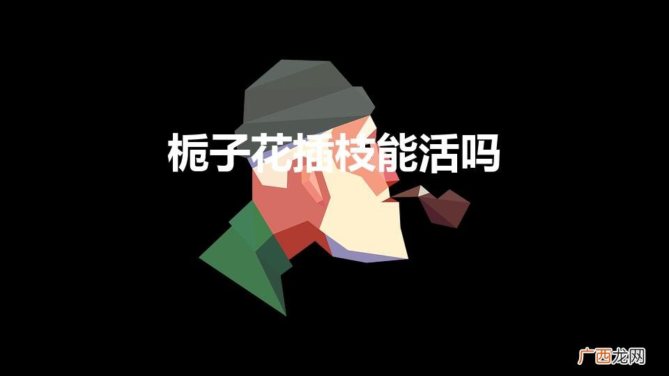 栀子花插枝能活吗（栀子花枝丫能插活吗)