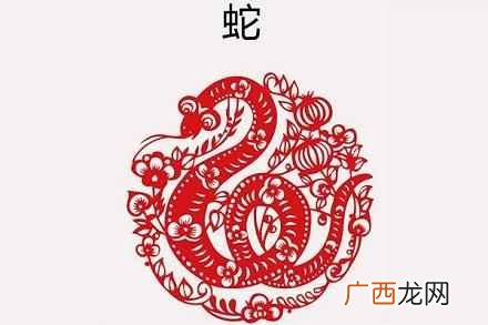 01年属什么生肖 01年属什么今年几岁