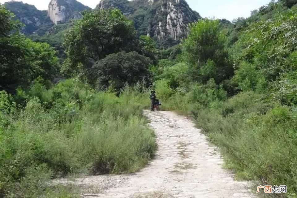 关于动物 什么肠小道 带动物的成语有哪些