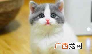 想配出蓝白有很多种搭配方式 蓝白是怎么配出来的
