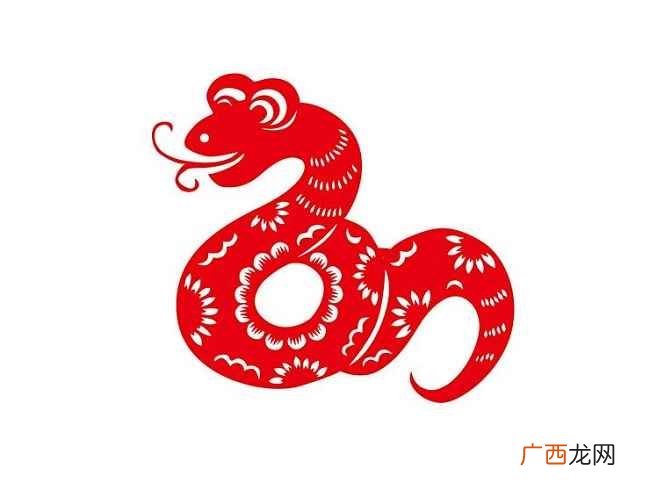 蛇属于什么生肖 蛇配什么生肖好