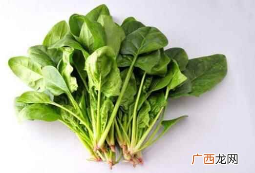 菠菜是什么意思 菠菜是什么
