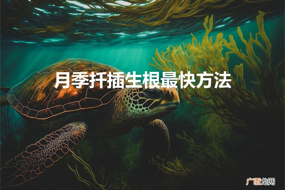 月季扦插生根最快方法（月季花的扦插方法)