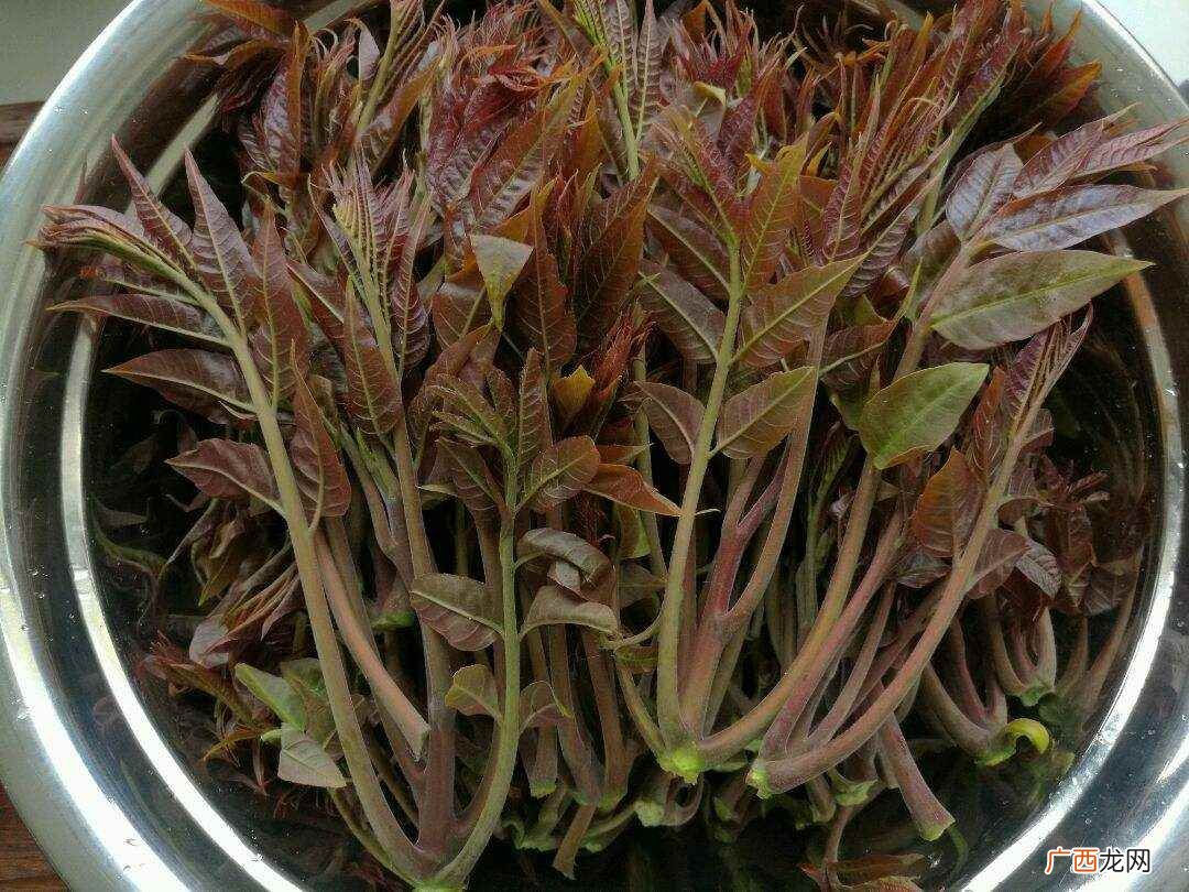 香椿拌豆腐怎么做好吃 香椿拌豆腐怎么做