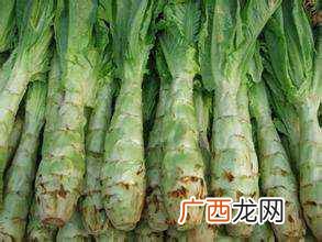 莴苣是什么菜长什么样子 莴苣是什么菜