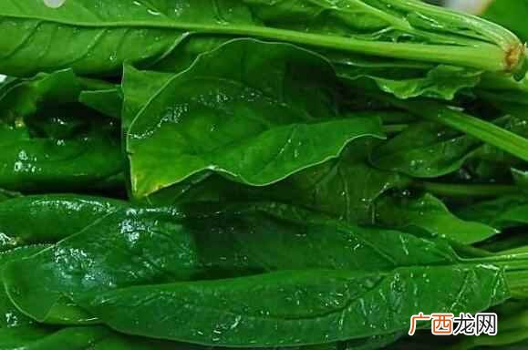 菠菜和什么蔬菜搭配最佳 菠菜是什么季节的蔬菜