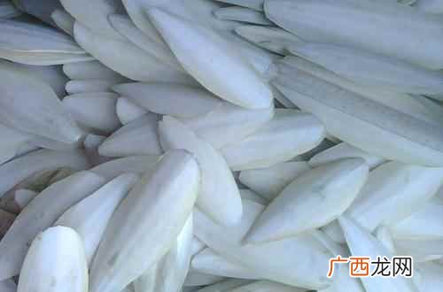 海螵蛸的功效与作用点 海螵蛸的功效与作用