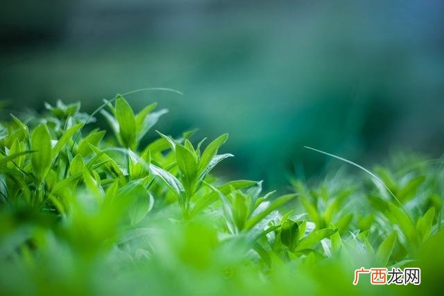 冷漠完全不理我了  男友冷暴力不理人又不说分手原因
