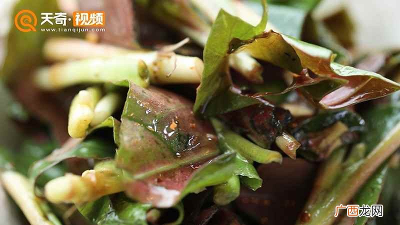 凉拌鱼腥草的做法大全 凉拌鱼腥草的做法