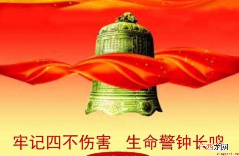 四不伤害是指什么