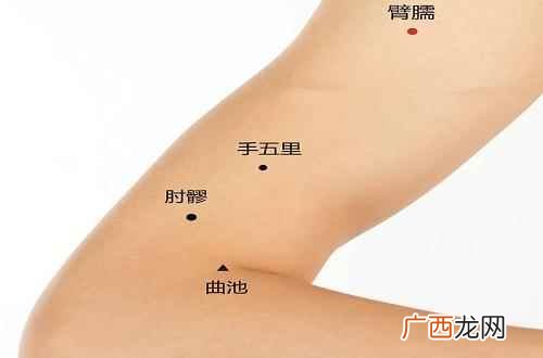 臂臑的准确位置图片 臂臑的准确位置图