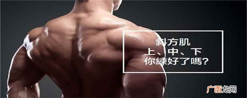 斜方肌怎么练效果最佳 斜方肌怎么练