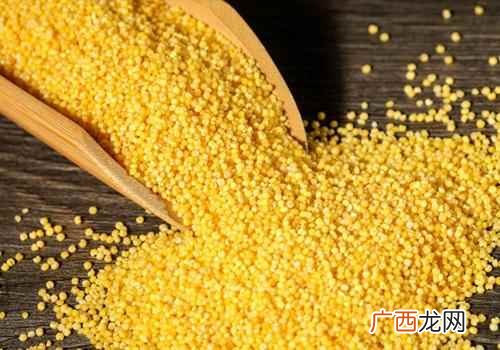 小米的营养价值及功效和副作用 小米的营养价值及功效