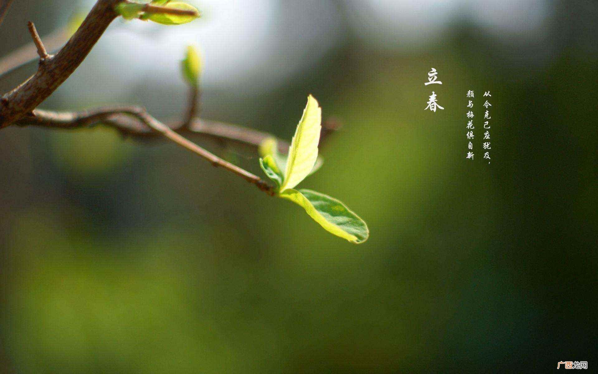 春打六九头是立春在六九的第一天的意思