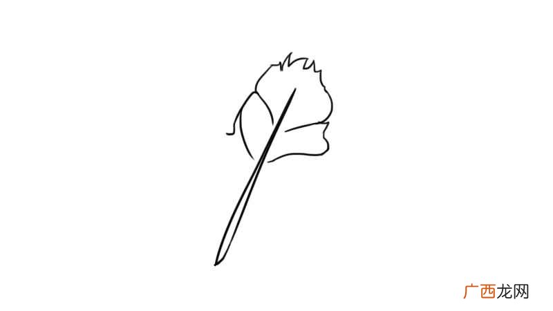 羽毛简笔画简单又漂亮 羽毛简笔画