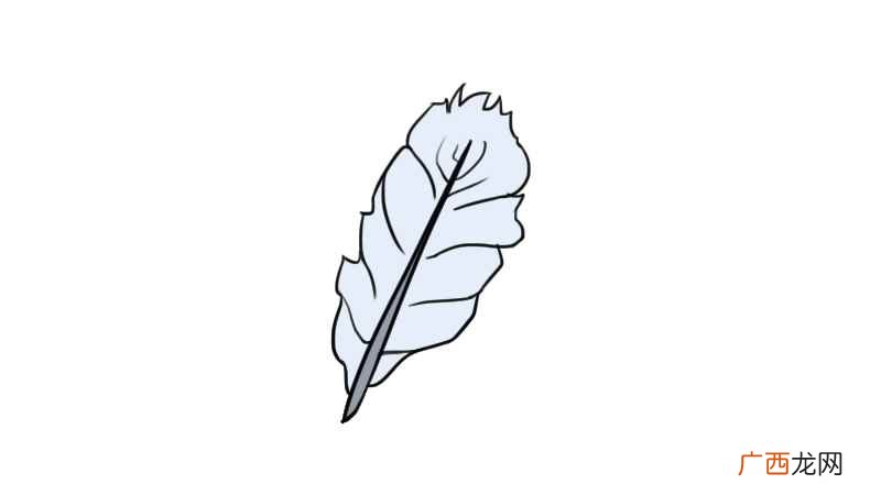 羽毛简笔画简单又漂亮 羽毛简笔画