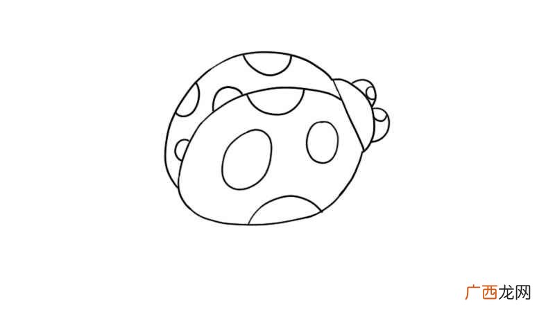 七星瓢虫简笔画怎么画