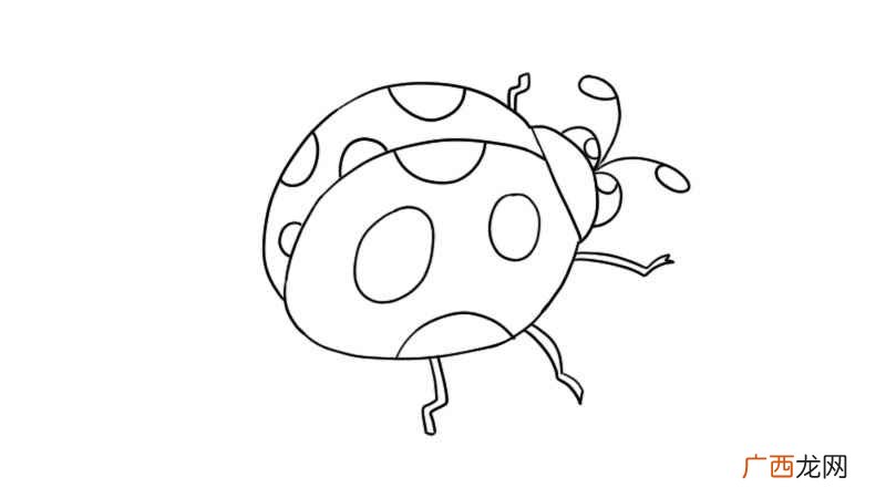 七星瓢虫简笔画怎么画