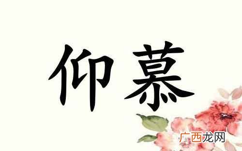 仰慕是什么意思和含义 仰慕是什么意思