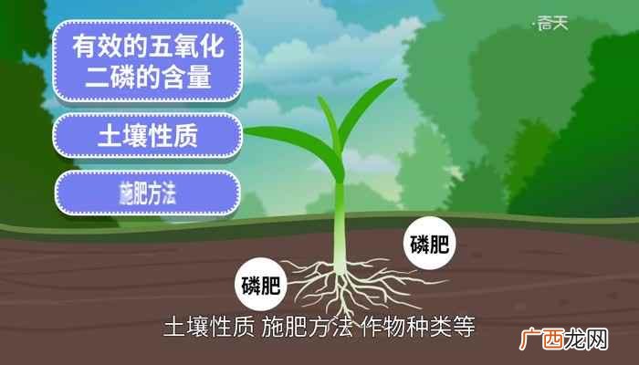 什么是磷肥最好 什么是磷肥