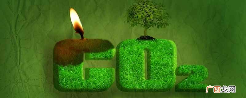 碳在生物群落与无机环境之间的流动形式 碳在生物群落与无机环境之间的流动形式是