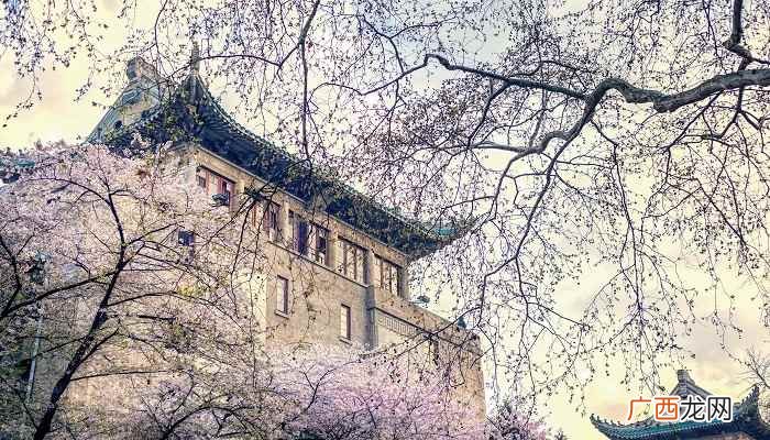 武汉大学国家级一流本科专业建设点 武汉大学优势专业排名