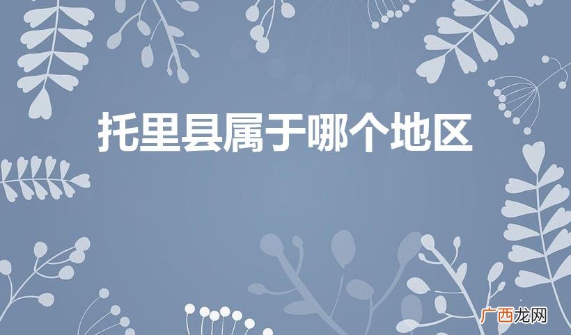 托里县是否为抵边县市 托里县属于哪个地区
