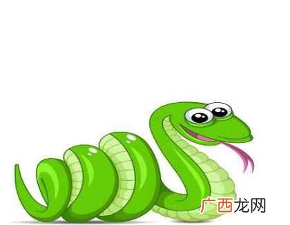 2001年出生之人属蛇 2001年属什么