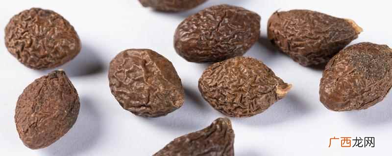 胖大海一次泡几个为好 胖大海每次泡几个最好