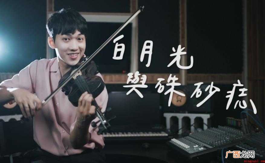 《白月光与朱砂痣》歌词是什么