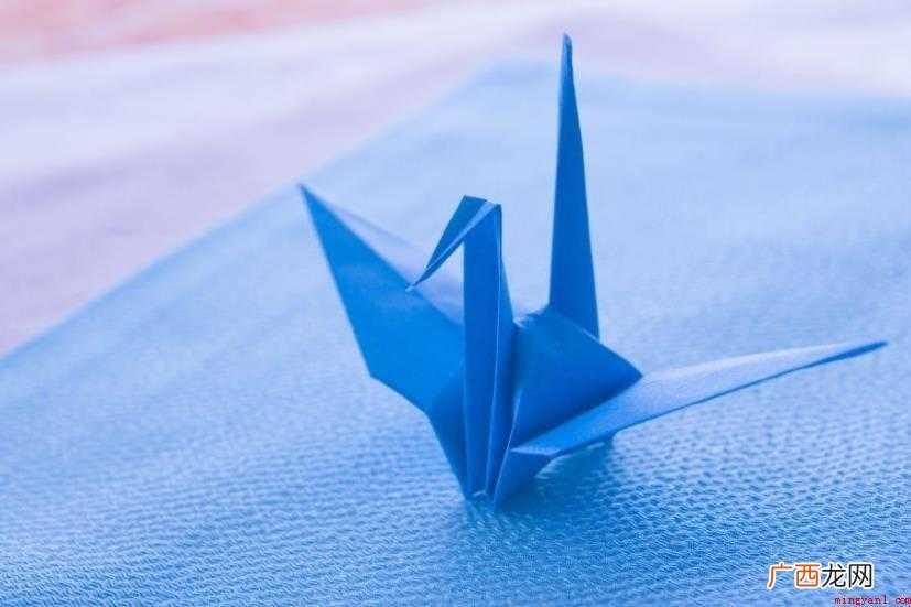 千纸鹤有什么特殊含义