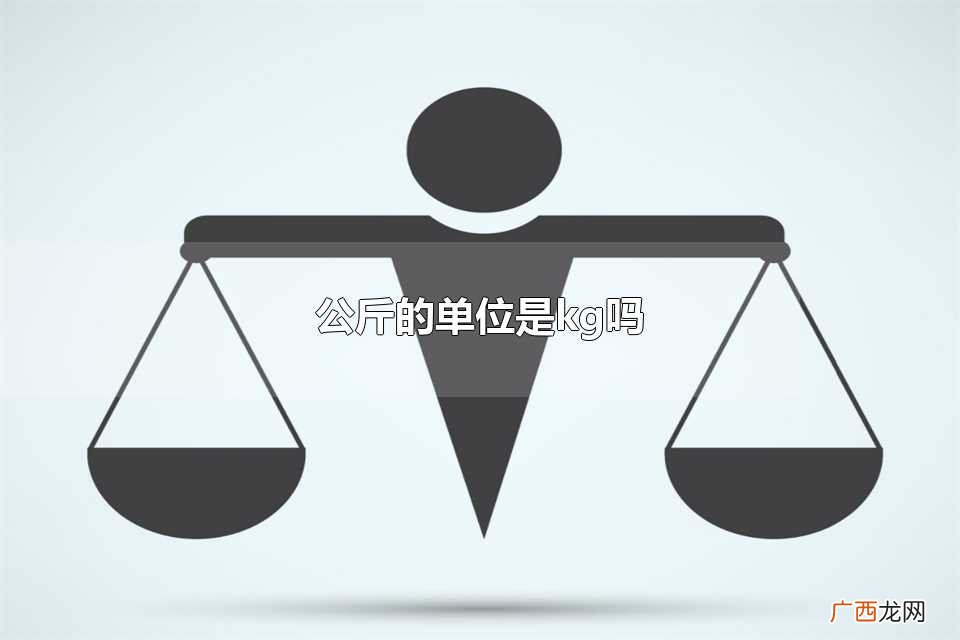 kg公斤是什么单位 公斤的单位是kg吗