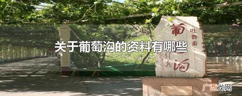 关于葡萄沟的资料 关于葡萄沟的资料有哪些