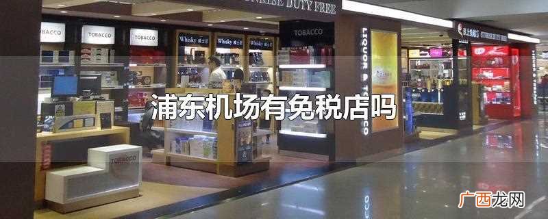 浦东机场有免税店吗现在 浦东机场有免税店吗