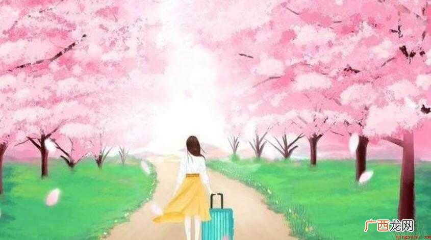 高冷又随性的句子有哪些