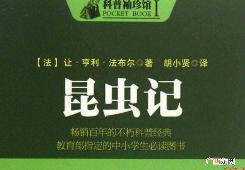 昆虫记主要内容是什么