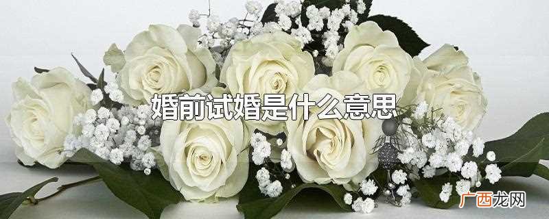 婚前试婚的利弊有哪些 婚前试婚是什么意思